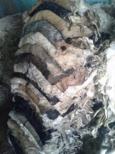 u=3630966888,1345366530&fm=253&fmt=auto&app=138&f=JPEG_w=500&h=667.webp (1).jpg