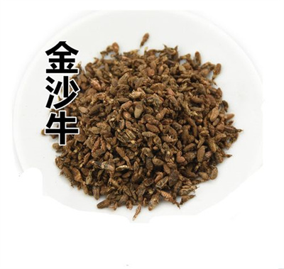 金沙牛俗称地鼓牛，干货小个750元/斤，干货大个2000元/斤